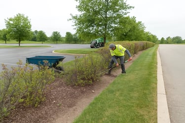 noblesville bush removal