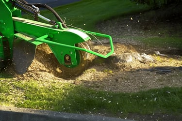 Noblesville stump grinding