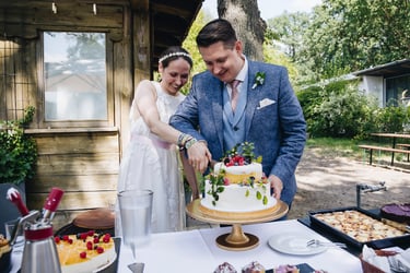 Bride and groom cutting the wedding cake.