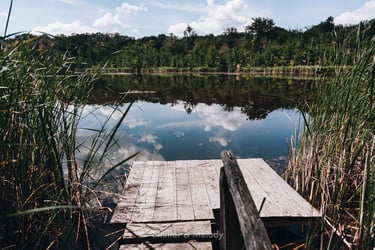 A lake on a sunny day with a wooden pier.