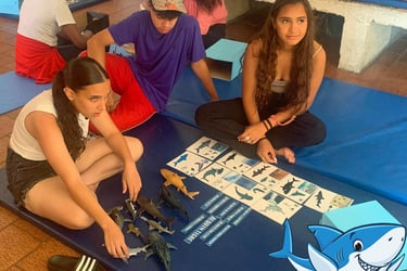 Un groupe d'adolescent avec la boite à requins