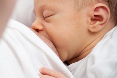 Newborn feeding essentials including baby bottles, sterilizer, and nursing pillow.