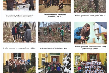 национална професионална гимназия по горско стопанство и дървообработване сава младенов тетевен
