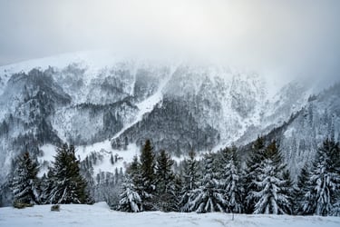 Cirque du Frankenthal en hiver - Massif des Vosges
