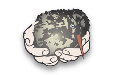Kiwi in Händen
