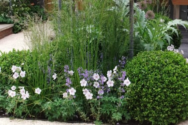 Borders met siergrassen en bloemen in de tuin.