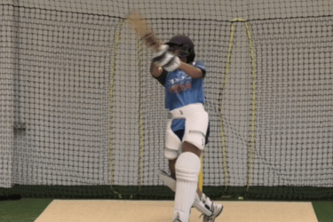 Gozzy's Power Hitting Program