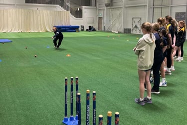 Gozzy's Fielding Essentials Program