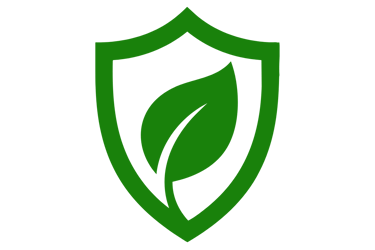 Safe, eco-friendly mold removal methods