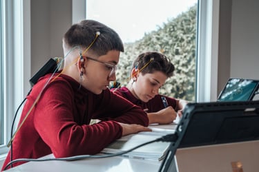 neuroptimal treniruoklis