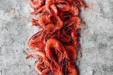 a bunch of shrimplings on ice with a few pieces of ice