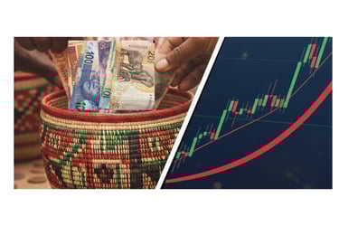 Investment fundamentals guide showing basics of building wealth in South Africa