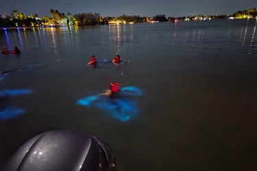 Bioluminescense Grand Cayman