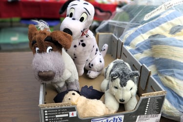 They want a new home