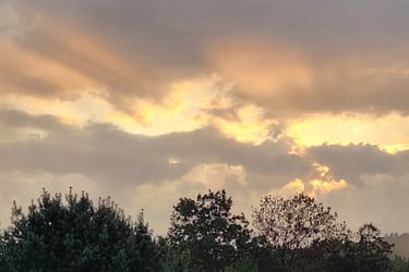 morning sun shining through the clouds over trees