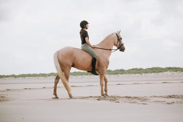 couple cavalier cheval plage