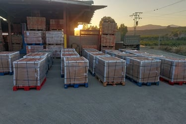 Palettes carreaux terre cuite