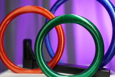 equimovex holder plus training rings