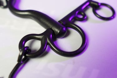 bit and bridle