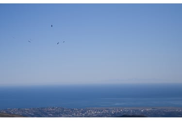 Panoramic aerial view of a coastal city and blue ocean with birds flying in a clear sky.