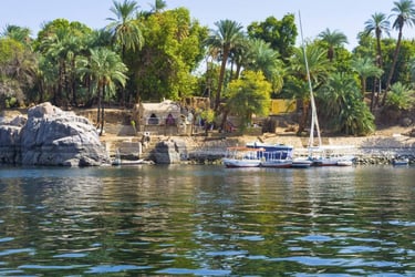 a boat on the water with palm trees in the background