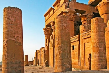 a large group of columns with carvings of carvings of ancient egyptian temples