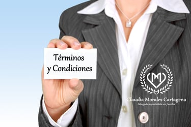 abogado que haga términos y condiciones en Colombia