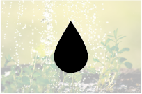 a black tear shaped water bottle with a black tear shaped droplet