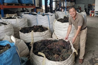 Dried Gracilaria seaweed 15% moisture and 3% impurity for agar-agar, Agriculture and Cosmetics