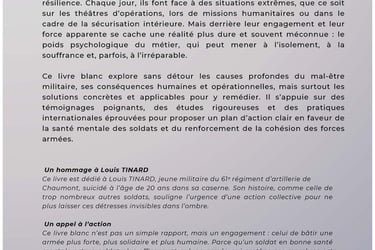 image livre blanc mal être dans les armées