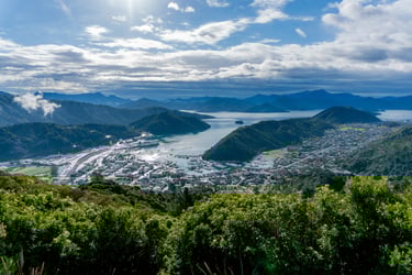View of Picton from the Tirohanga Track
