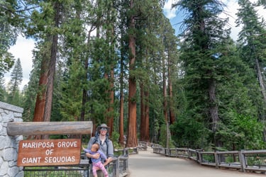 Mariposa Grove Big Trees Loop Trailhead
