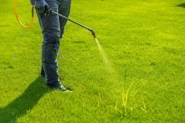 Professional lawn care technician applying liquid weed control spray to a bright green residential yard.