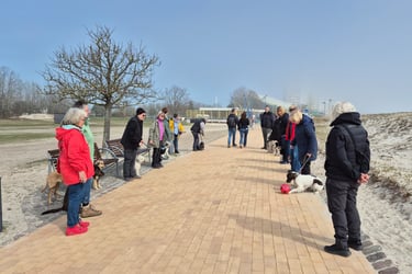 Hundetraining auf der Strandpromenade am Südstrand auf Fehmarn