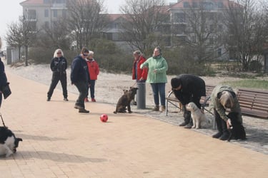 Marion mit Kunden beim Training am Südstrand auf Fehmarn