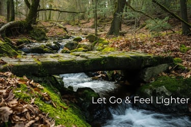 A forest scene with a bridge over a stream