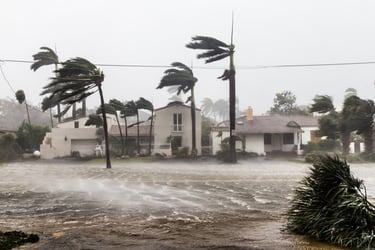 strong wind