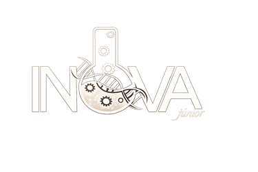logo inova jr consultoria empresarial