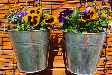 Buckets hanging from a dismantled fireguard