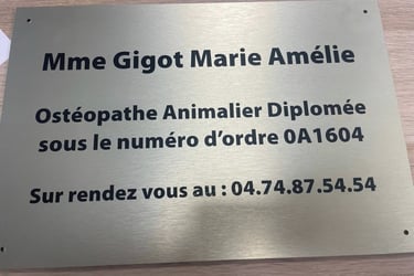 Ostéopathie animale et clinique vétérinaire