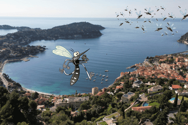 Villefranche-sur-mer et Saint Jean Cap Ferrat