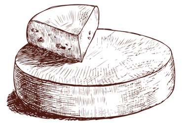 illustration of cheese blocks