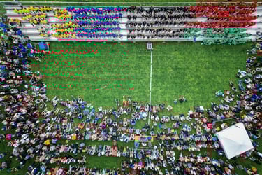 a soccer field with a soccer field and a crowd of people