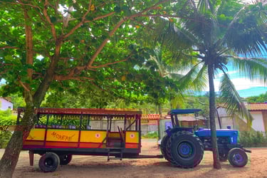 Morere, Ilha de Boipeba, Bahia. Brasil Praça principal, ponto do trator. Refúgio do Sagrado. Eventos e hospedagem