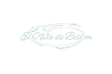 Logo El Nido de Betlem