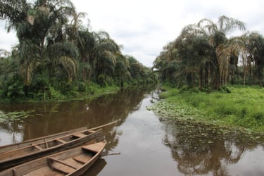 La Rivière Noire d'Adjarra
