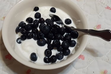 greek yogurt w blueberries