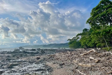 Mal Pais Costa Rica Mittelamerika Montezuma Santa Teresa