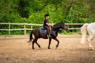 a girl riding a horse in a fenced in area