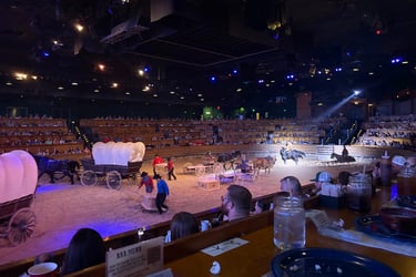 Dolly Parton Stampede